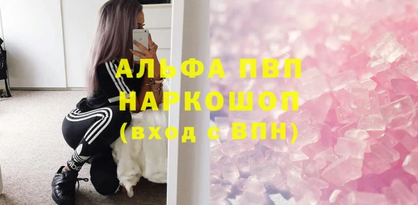 PSILOCYBIN Белокуриха