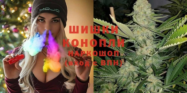 PSILOCYBIN Белокуриха