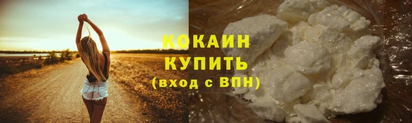 PSILOCYBIN Белокуриха