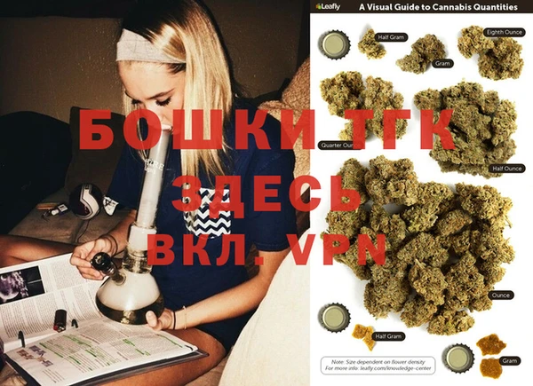 PSILOCYBIN Белокуриха