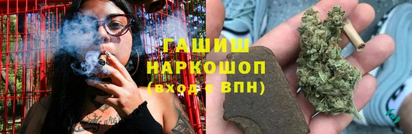 PSILOCYBIN Белокуриха