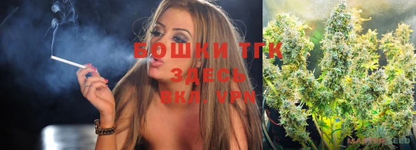 PSILOCYBIN Белокуриха