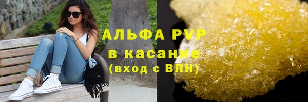 PSILOCYBIN Белокуриха
