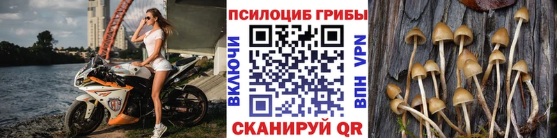 Галлюциногенные грибы MAGIC MUSHROOMS  цена наркотик  Дмитровск 